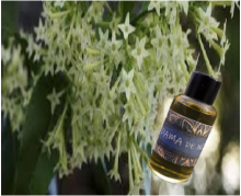 ESENCIA AROMTICA PARA DIFUSOR O QUEMADOR DAMA DE NOCHE